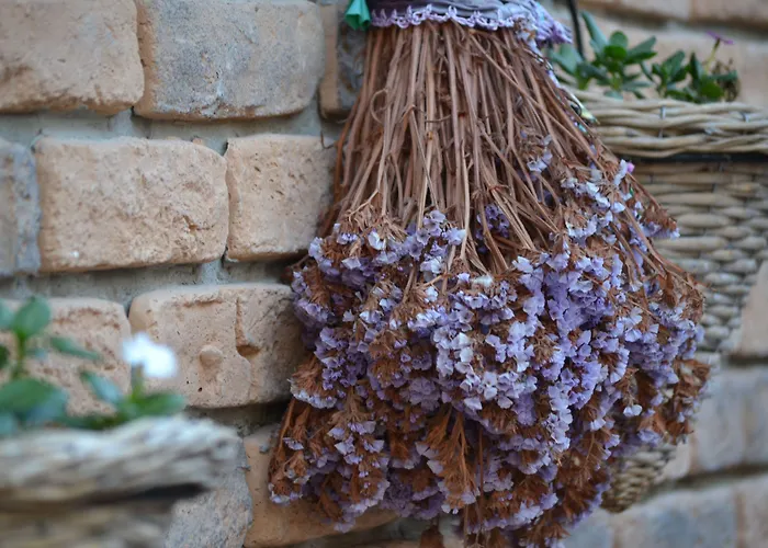 Bed & Breakfast Mandalin 3*