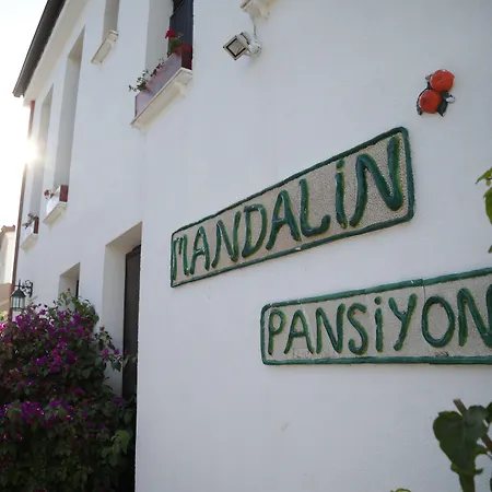 Mandalin